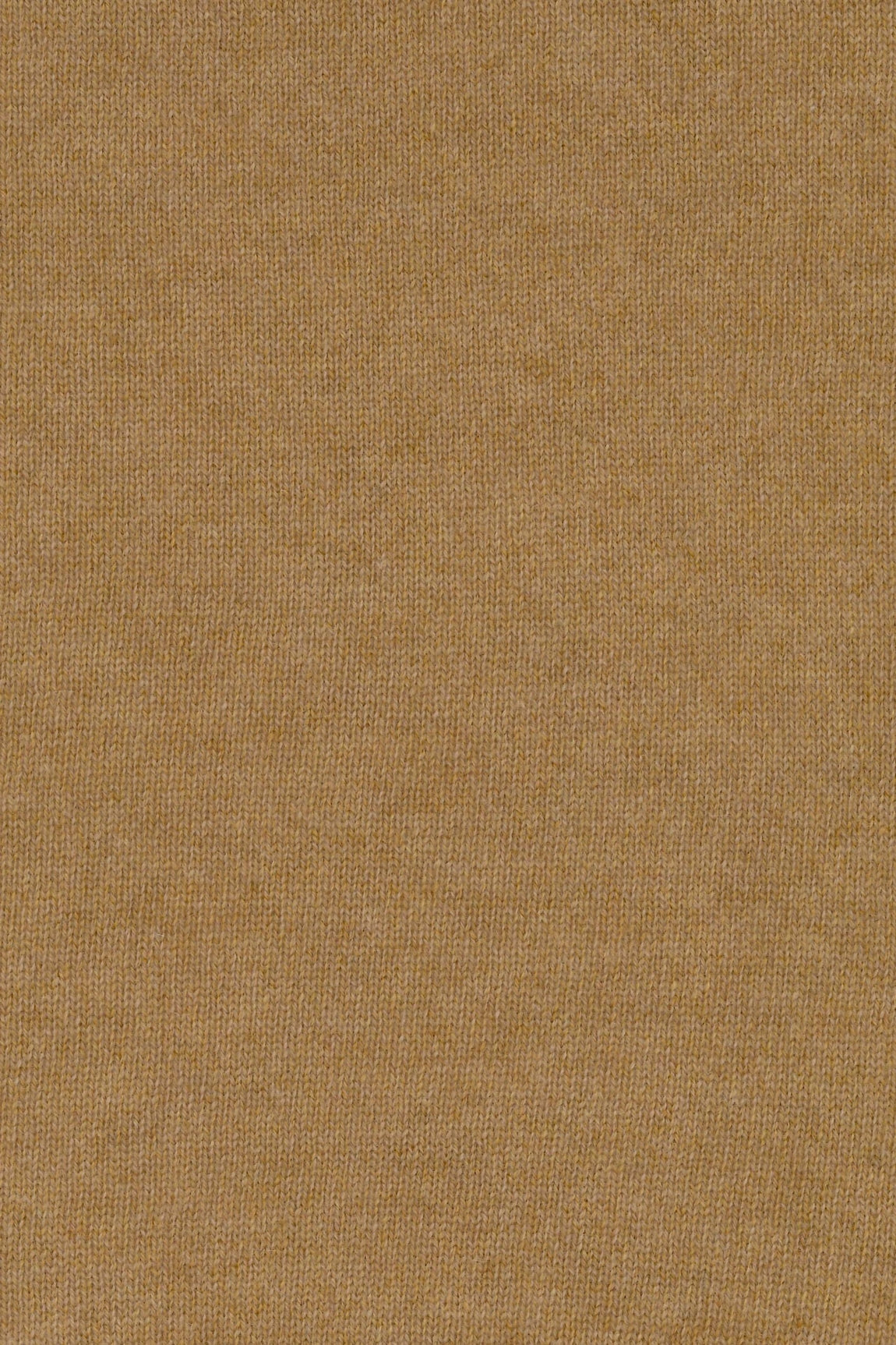 BLAZER CACHEMIRE FIN CAMEL 516871 CAMEL