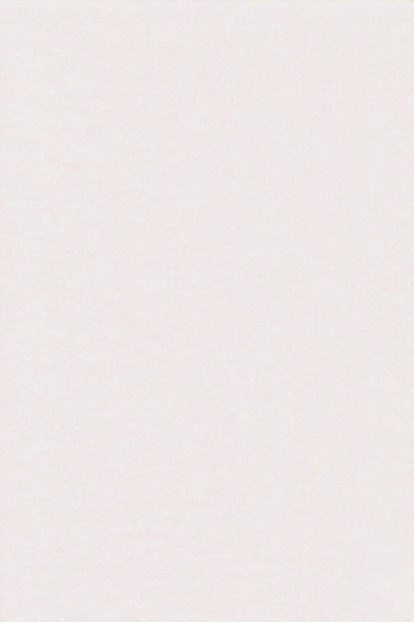 CHEMISE UNIE JERSEY WHITE 8001 WHITE