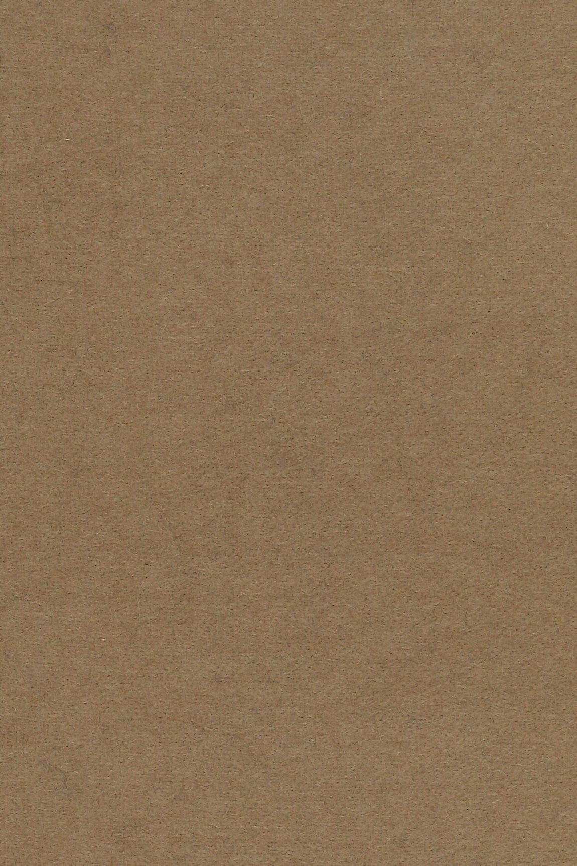 CHEMISE WESTERN UNIE CACHEMIRE CAMEL 1632 CAMEL