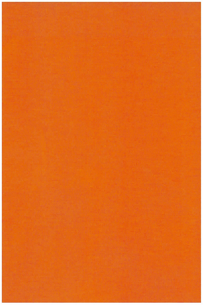 COL V FIN UNI CACHEMIRE-SOIE ORANGE 50410 ORANGE