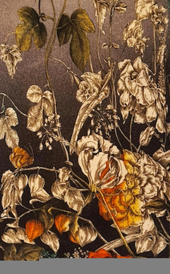 ETOLE IMPRIMÉE CACHEMIRE-SOIE VAR. 1 VAR. 1