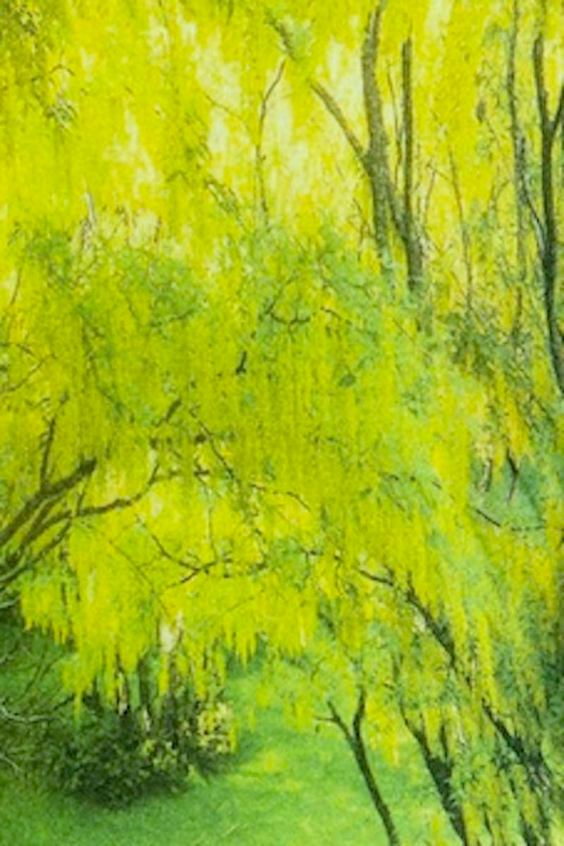 ETOLE IMPRIMÉE CACHEMIRE-SOIE VAR. 1 VAR. 1