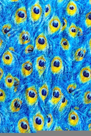 ETOLE IMPRIMÉE CACHEMIRE-SOIE VAR. 1 VAR. 1