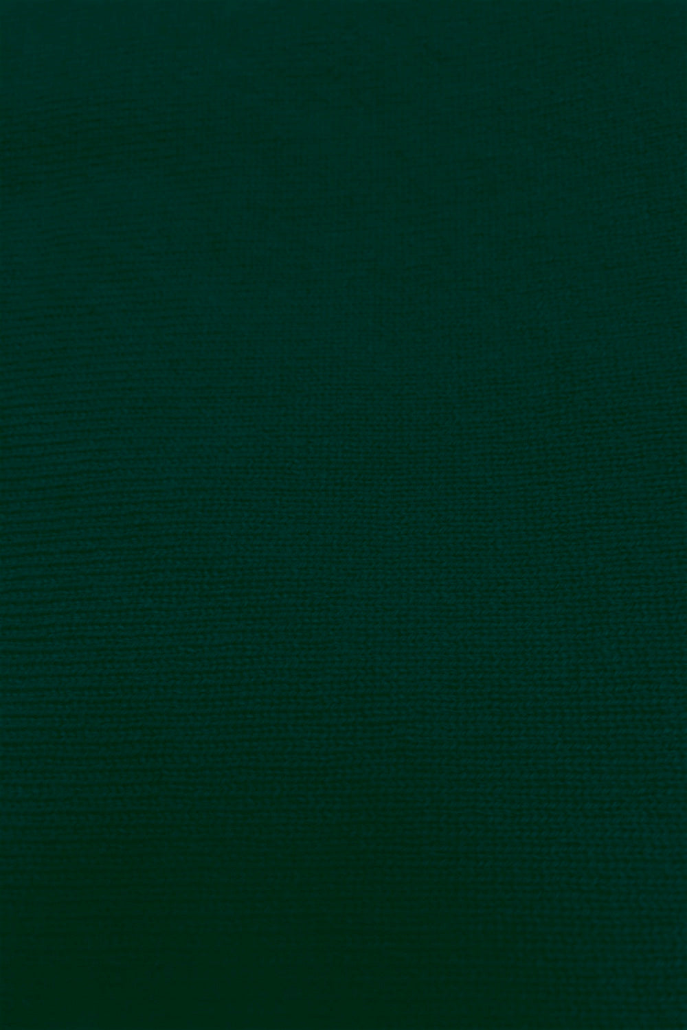 PULL CACHEMIRE COL ROND DK GREEN 20619 DK GREEN