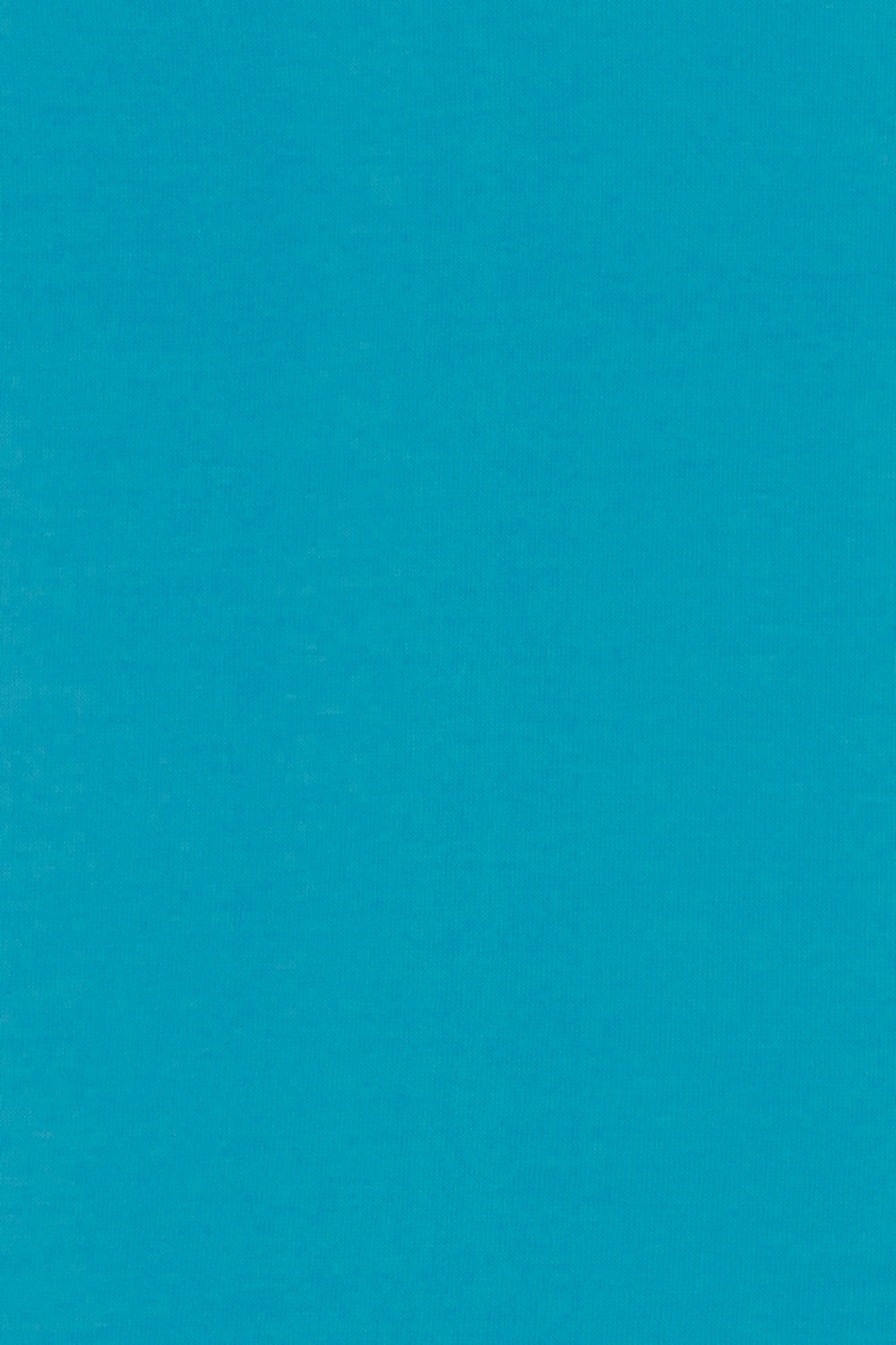 PULL CACHEMIRE-SOIE COL V TURQ. 1588S TURQ.