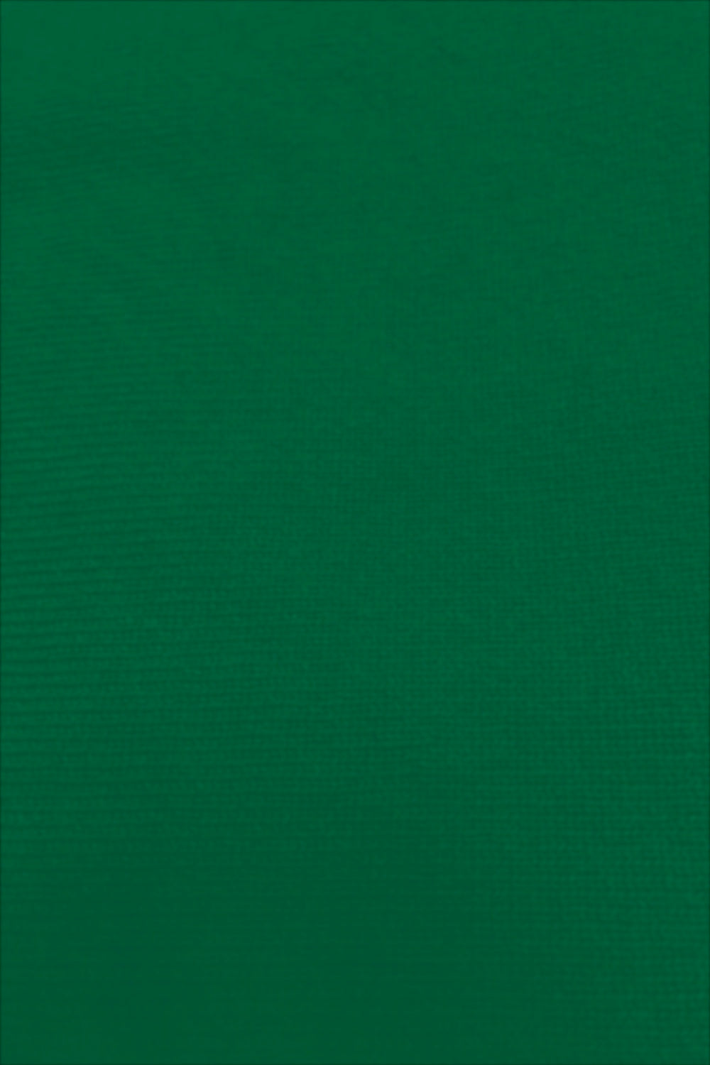 PULL COL ROULÉ FIN UNI EMERALD 51636 EMERALD