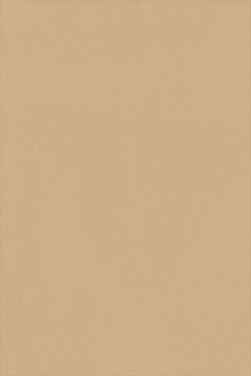 PULL FIN CACHEM-SOIE COL ROND BEIGE 3410 BEIGE