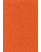 50410 orange