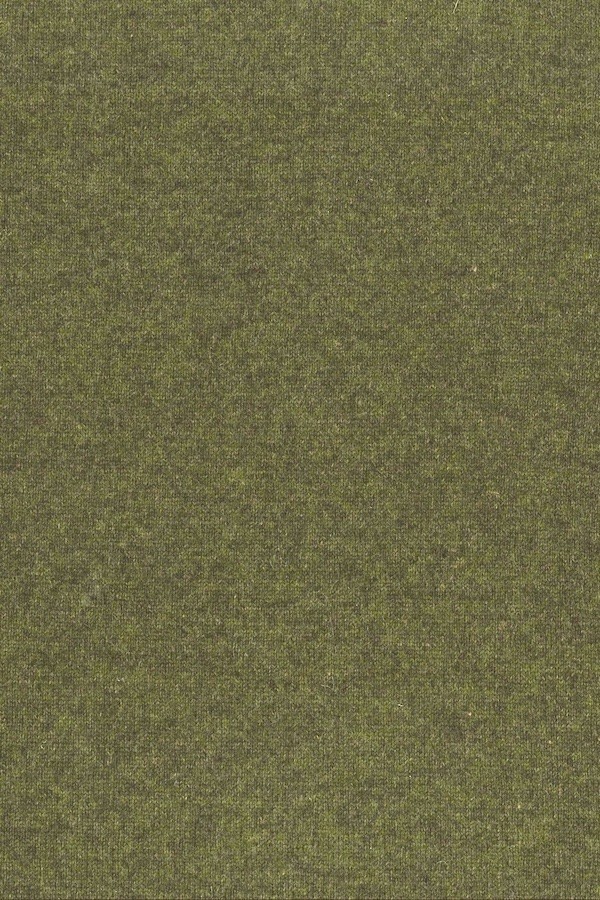 55571 moss green