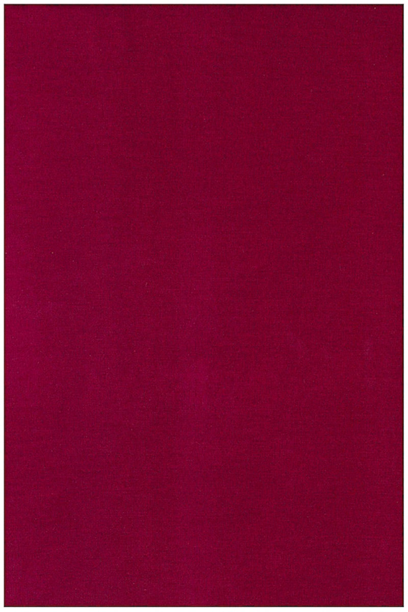 CASHMERE-SILK TURTLE NECK 60034 PLUM