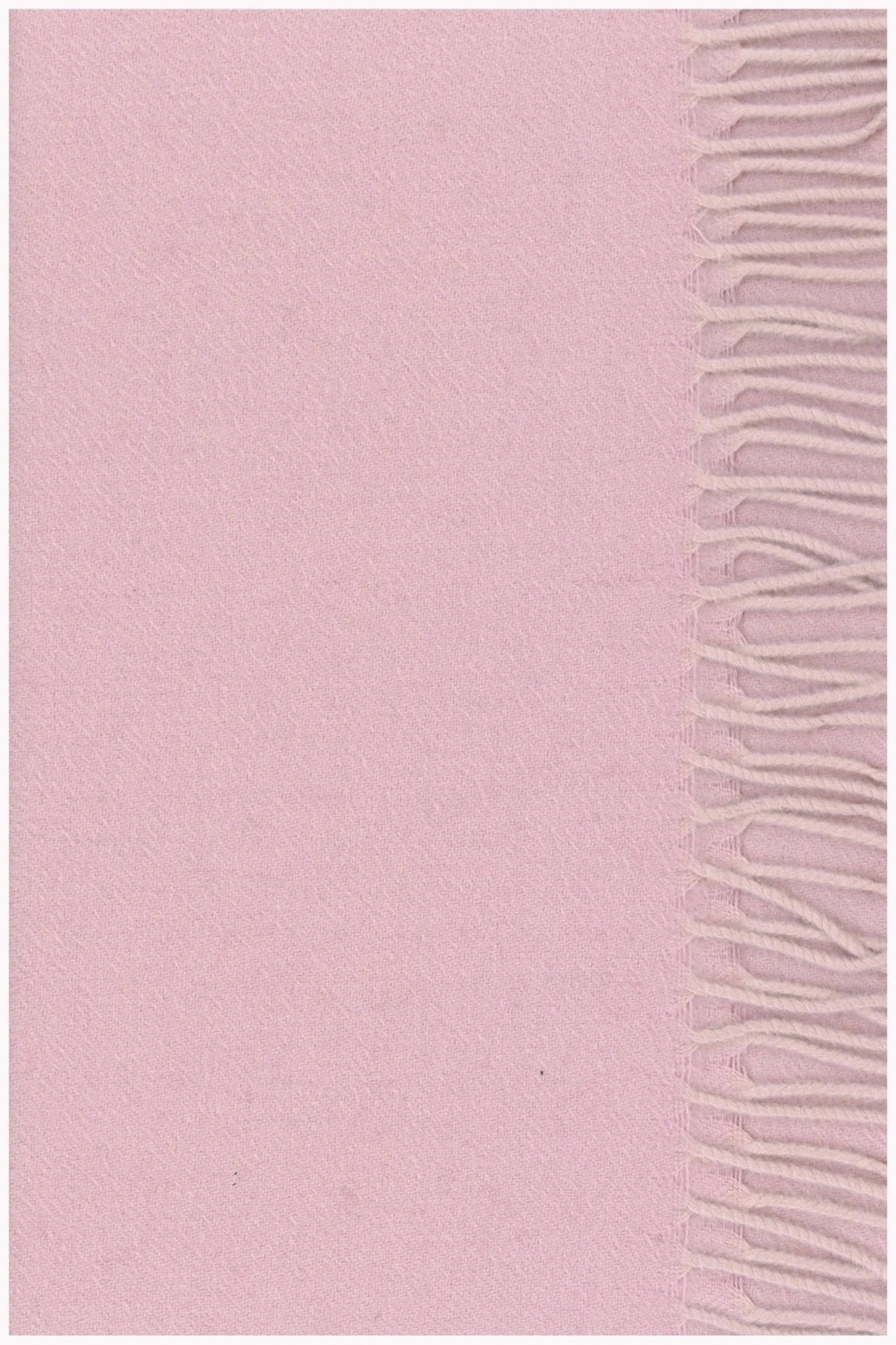 ECHARPE CACHEMIRE BICOLORE 53306-24519 PINK 53306-24519 PINK