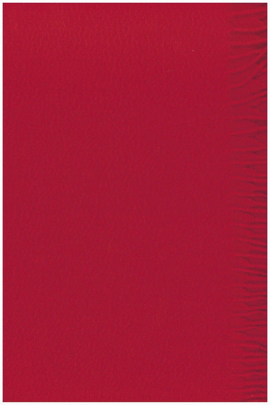 ÉCHARPE TISSÉE CACHEMIRE UNI RED 1FM9 RED
