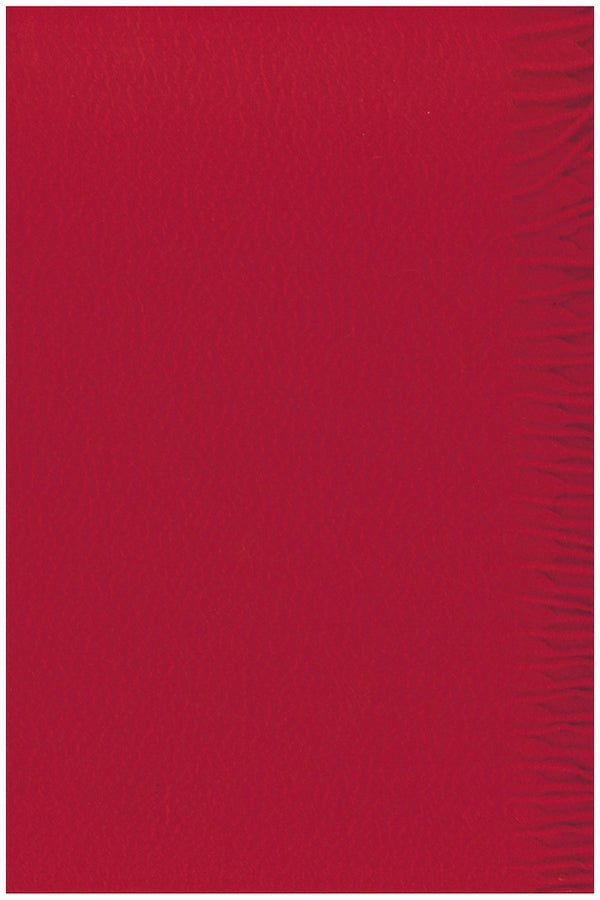 ÉCHARPE TISSÉE CACHEMIRE UNI RED 1FM9 RED