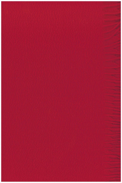 ÉCHARPE TISSÉE CACHEMIRE UNI RED 1FM9 RED