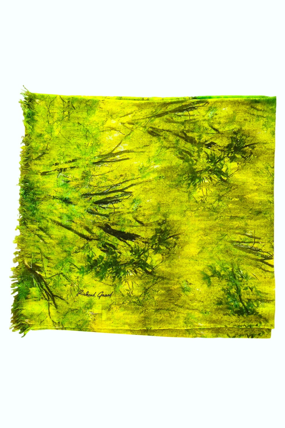 ETOLE IMPRIMÉE CACHEMIRE-SOIE VAR. 1