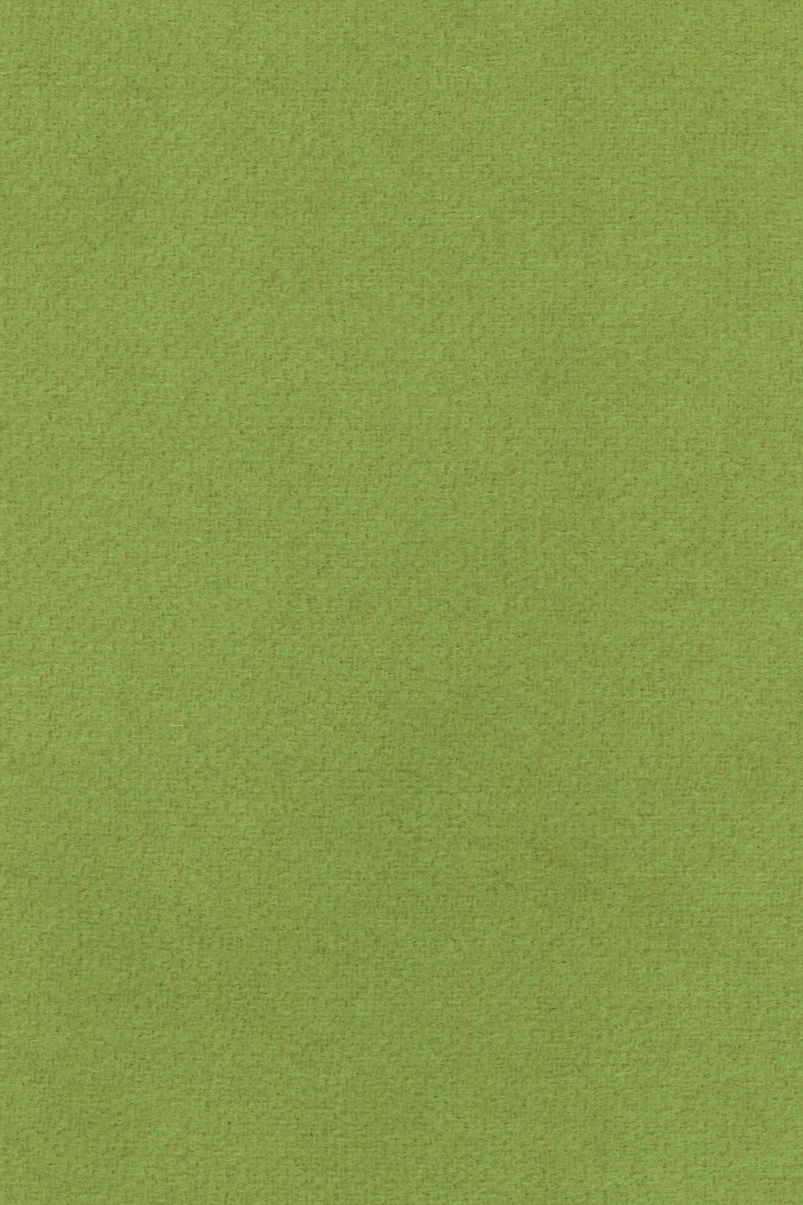 ETOLE MOUSSEUSE EN CACHEMIRE MEADOW GREEN 22350 MEADOW GREEN
