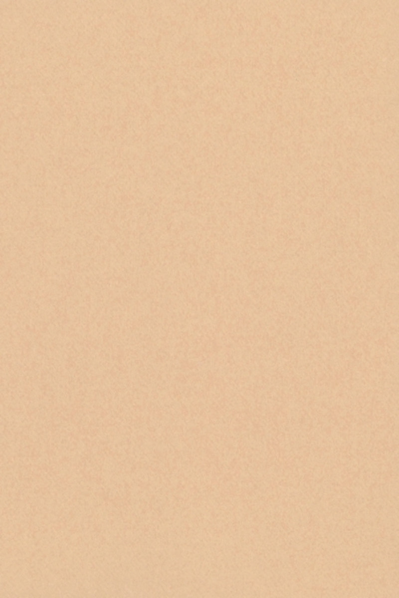 MANTEAU CACHEMIRE DOUBLE FACE CAMEL LT CAMEL