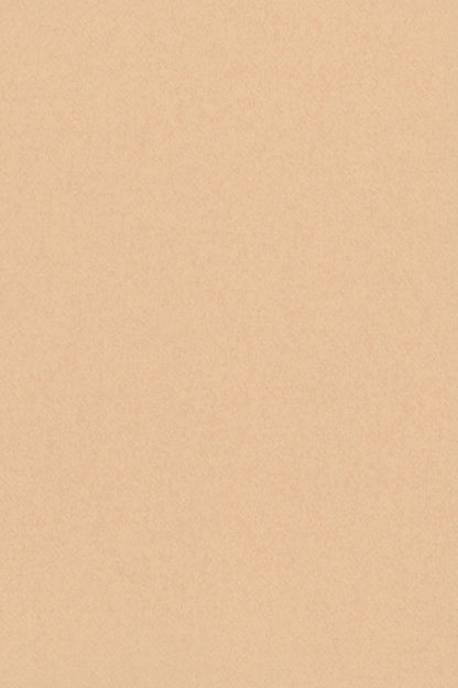 MANTEAU CACHEMIRE DOUBLE FACE CAMEL LT CAMEL