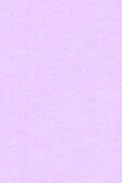PULL CACHEMIRE COL ROULÉ LT LILAC 54366 LT LILAC