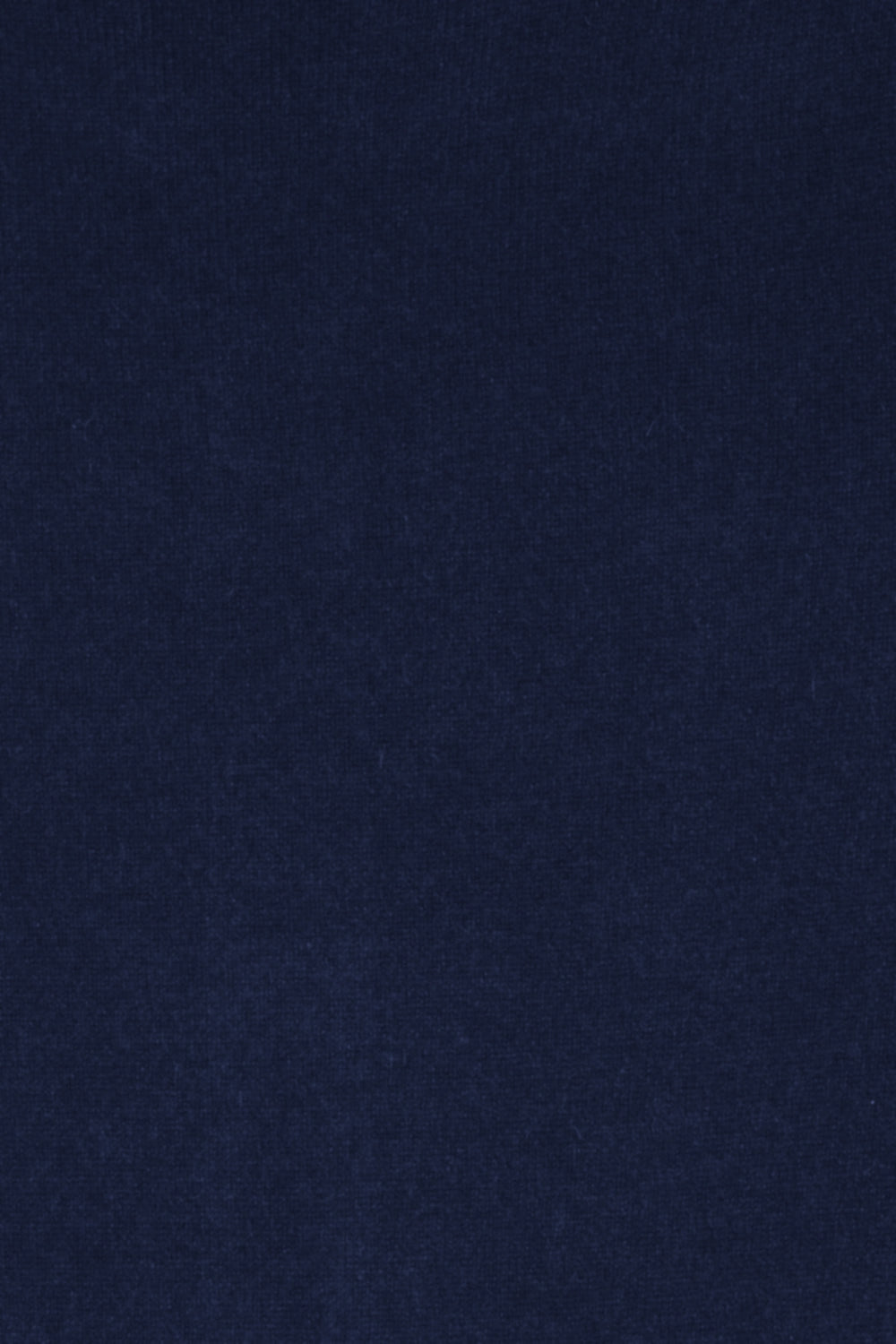 PULL CACHEMIRE COL ROULÉ NAVY 51894 NAVY