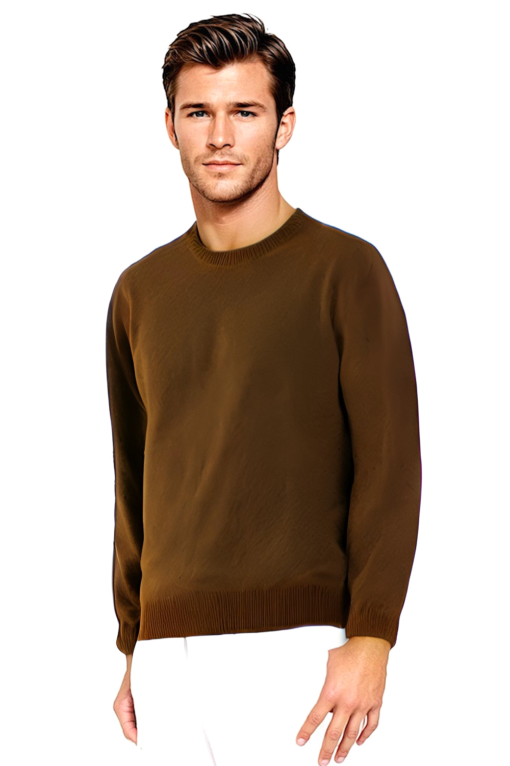 PULL CACHEMIRE RAS DE COU CAFE 496A CAFE