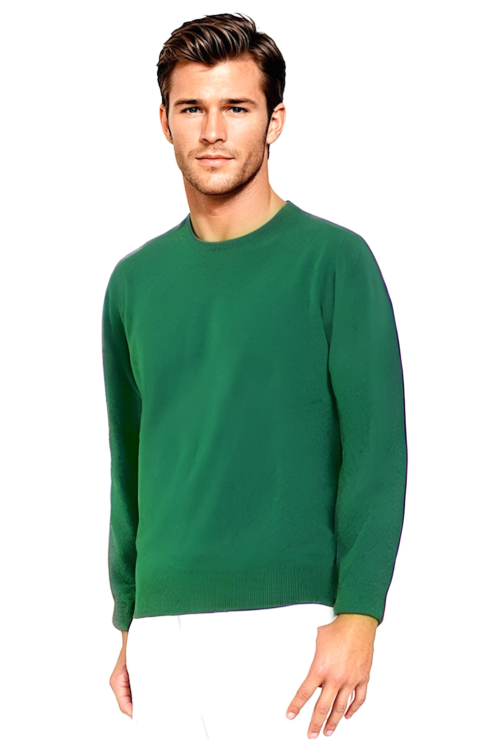 PULL CACHEMIRE RAS DE COU EMERALD 22352 EMERALD