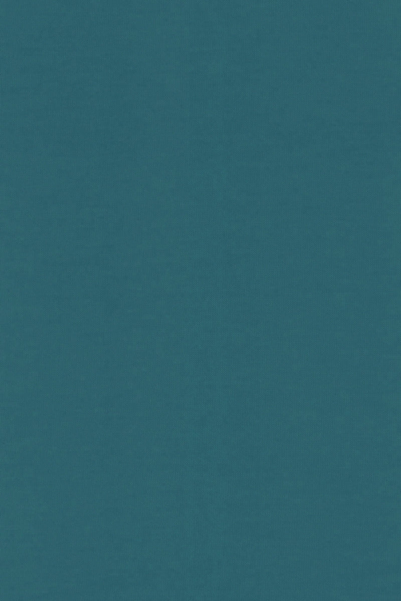 PULL CACHEMIRE-SOIE COL ROULE DK TURQ. 53880 DK TURQ.