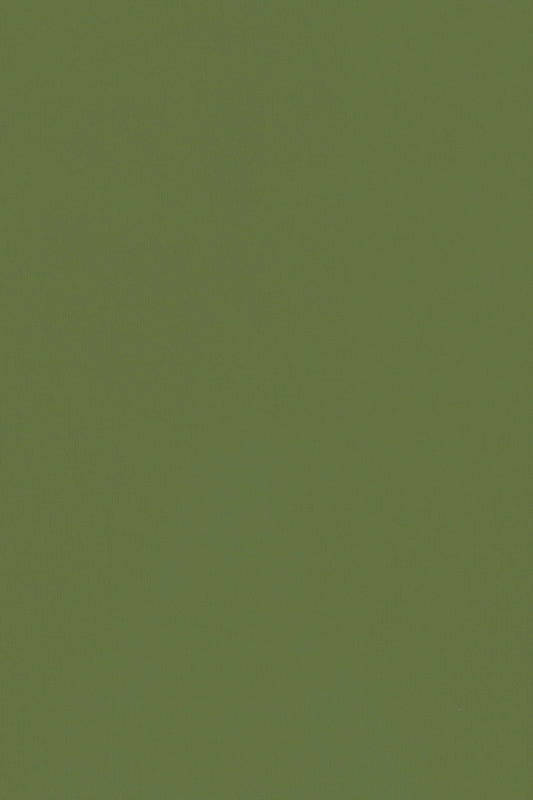 PULL CACHEMIRE-SOIE COL ROULE GREEN 55830 GREEN