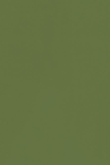 PULL CACHEMIRE-SOIE COL ROULE GREEN 55830 GREEN