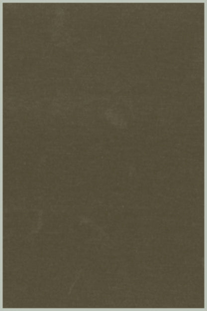 PULL CACHEMIRE-SOIE COL ROULE KAKI 52360 KAKI