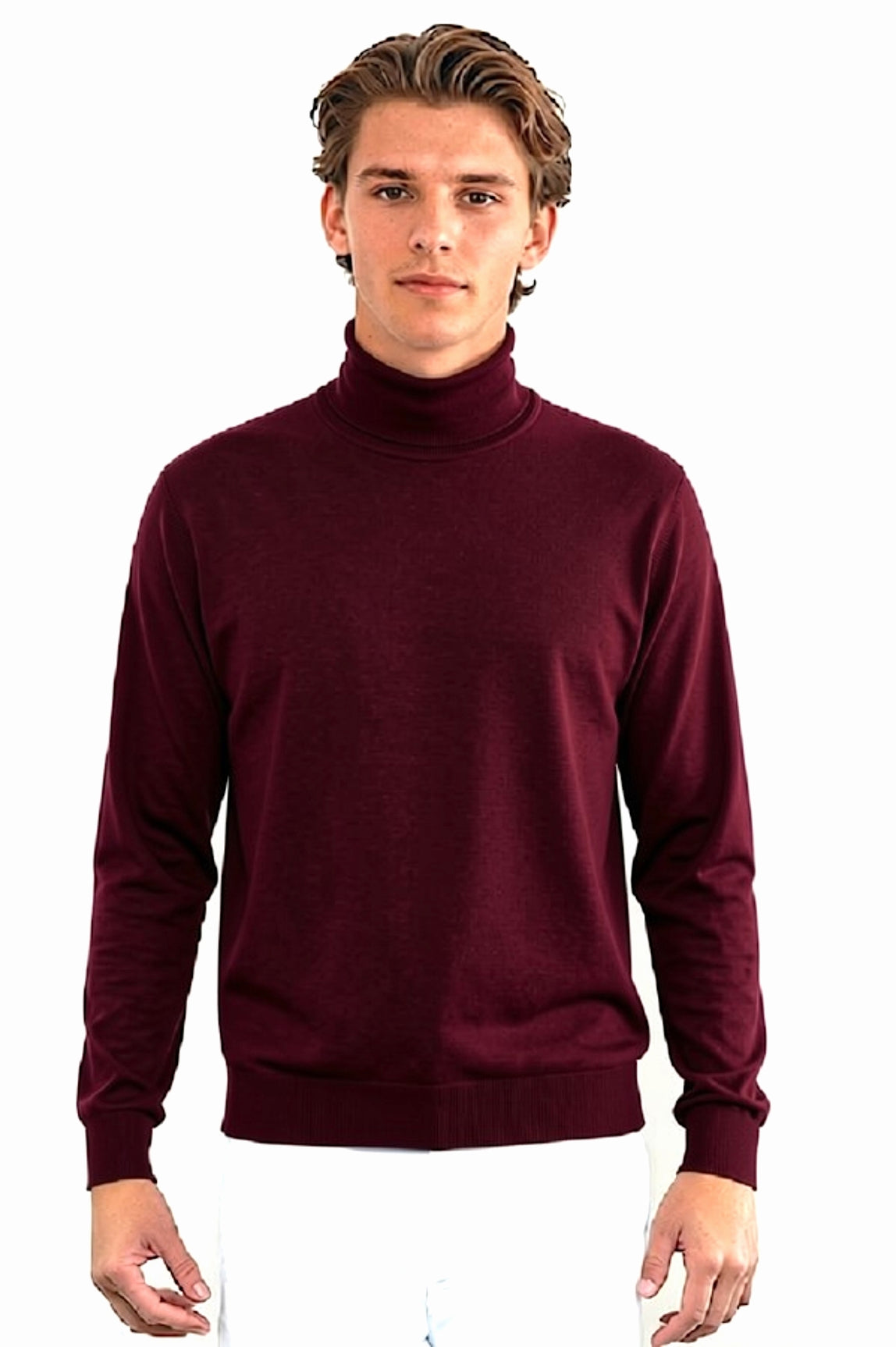 PULL CACHEMIRE-SOIE COL ROULE PLUM 60034 PLUM