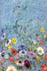 Image représentant la couleur 