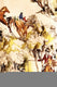Image représentant la couleur 