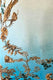 Image représentant la couleur 