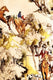 Image représentant la couleur 