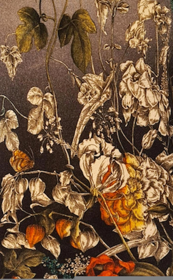 PULL CACHEMIRE-SOIE IMPRIME VAR.1 VAR.1