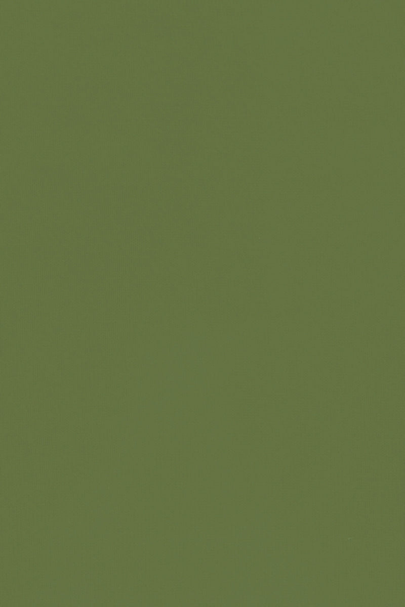 PULL COL ROND CACHEM-SOIE UNI GREEN 55830 GREEN