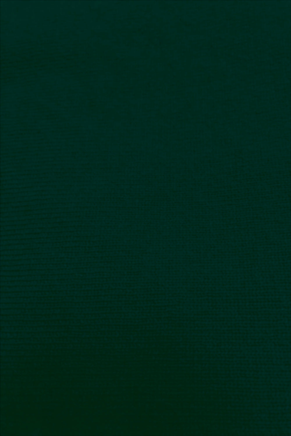 PULL COL ROULÉ FIN UNI DK GREEN 20619 DK GREEN