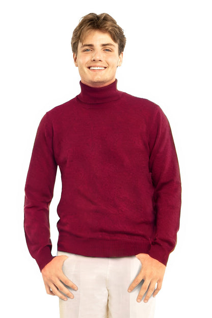 PULL COL ROULÉ HOMME CACHEMIRE PLUM 60034 PLUM