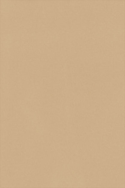 PULL FIN CACHEM-SOIE COL ROND BEIGE 3410 BEIGE