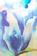 Image représentant la couleur 